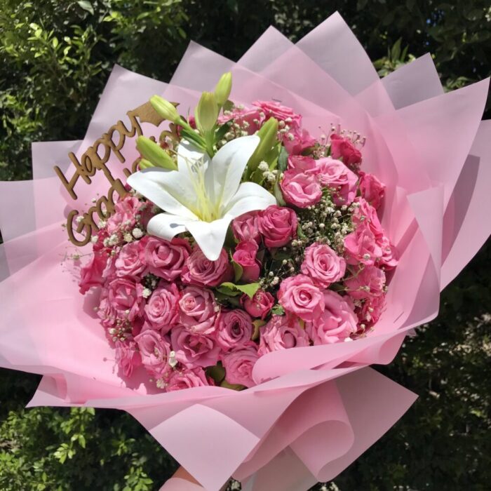 rosy lilly