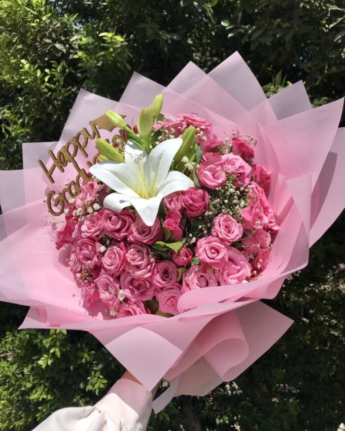 rosy lilly