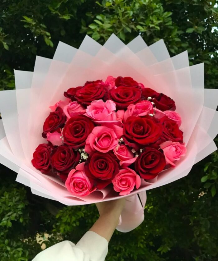 Red and Pink Roses Romance