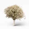 Dried Baby's Breath Cloud Bouquet