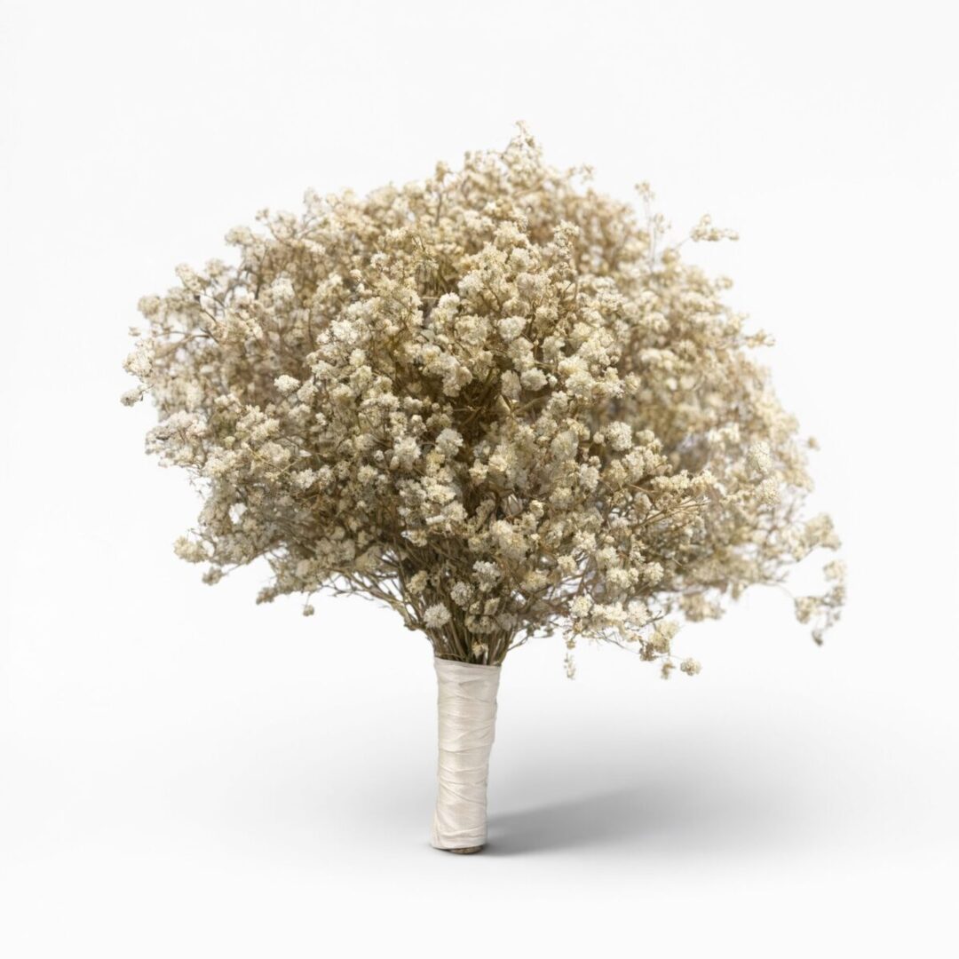 Dried Baby's Breath Cloud Bouquet