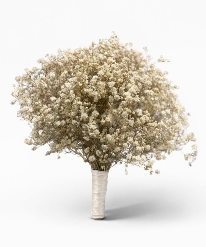 Dried Baby's Breath Cloud Bouquet
