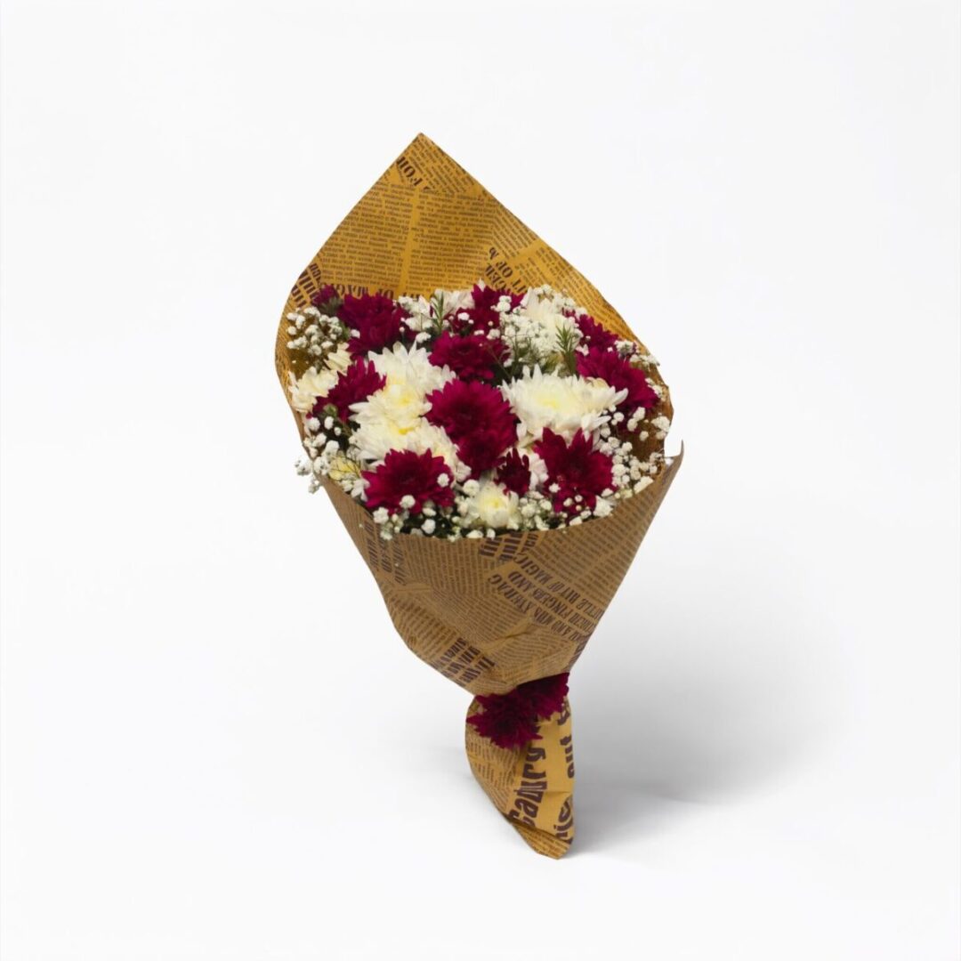 Burgundy Cream Chrysanthemum Charm