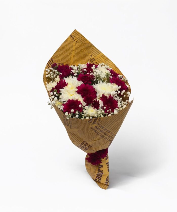 Burgundy Cream Chrysanthemum Charm