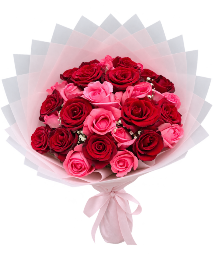 Red and Pink Roses Romance