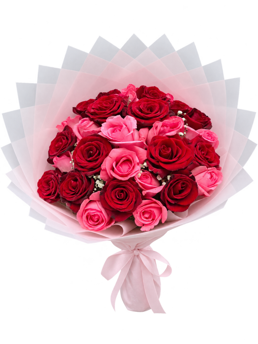 Red and Pink Roses Romance